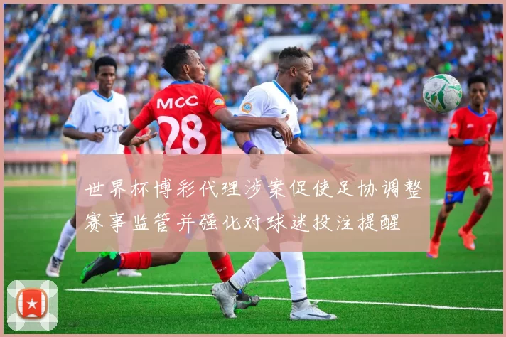 世界杯博彩代理涉案促使足协调整赛事监管并强化对球迷投注提醒