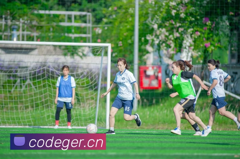 多媒体互动体验